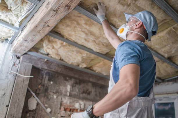 Best Insulation Maintenance and Repair in Albion, IN